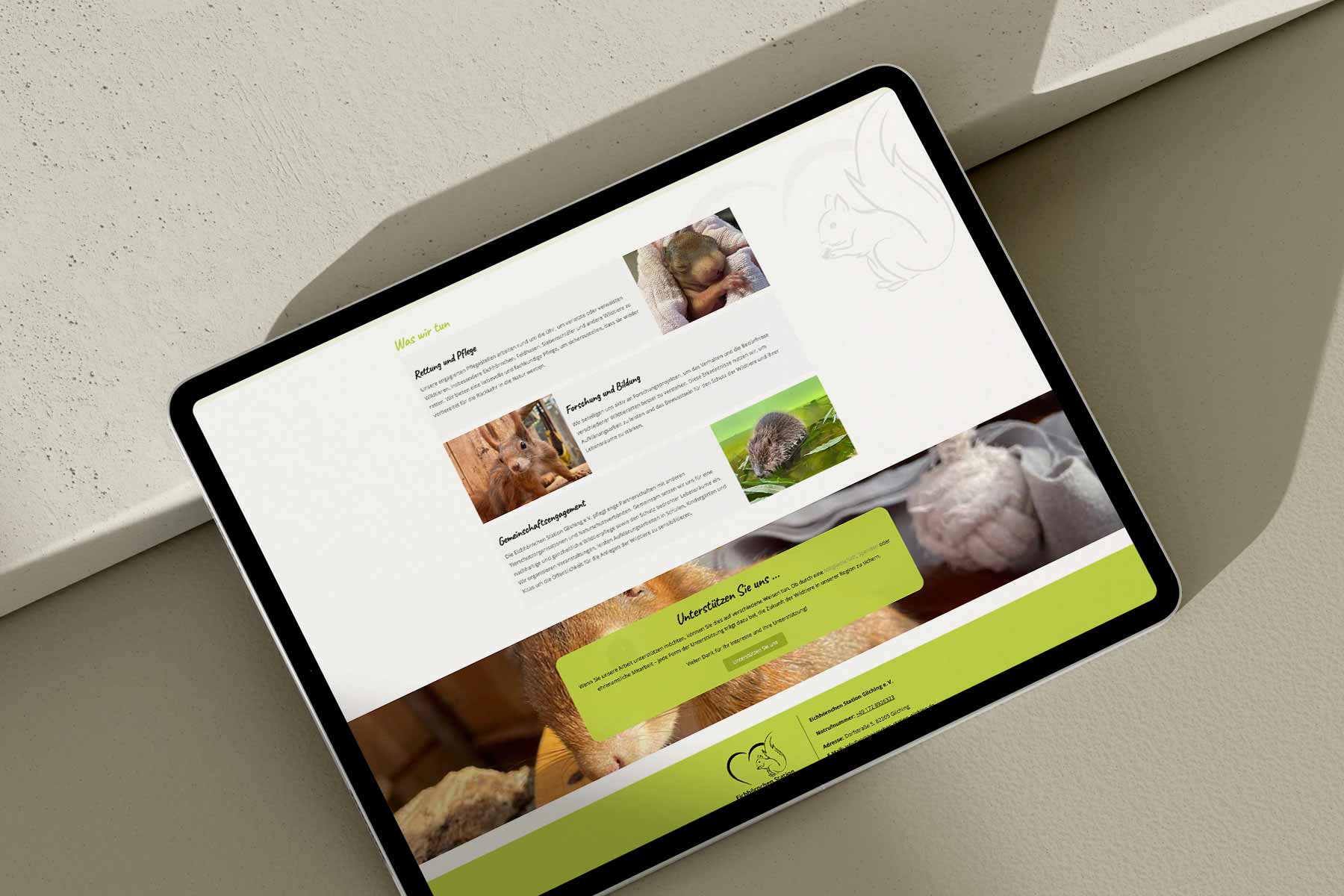 website-eichhoernchen-12